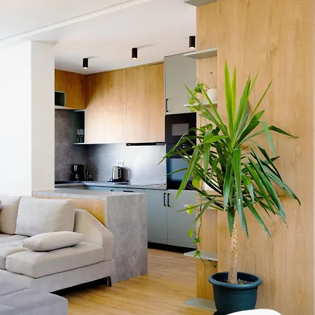 Square Luxury Penthouse Appartement