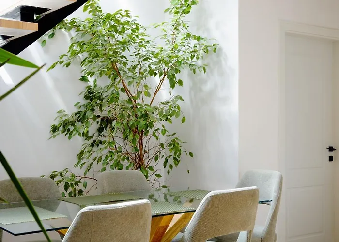 Square Luxury Penthouse * ティラナ